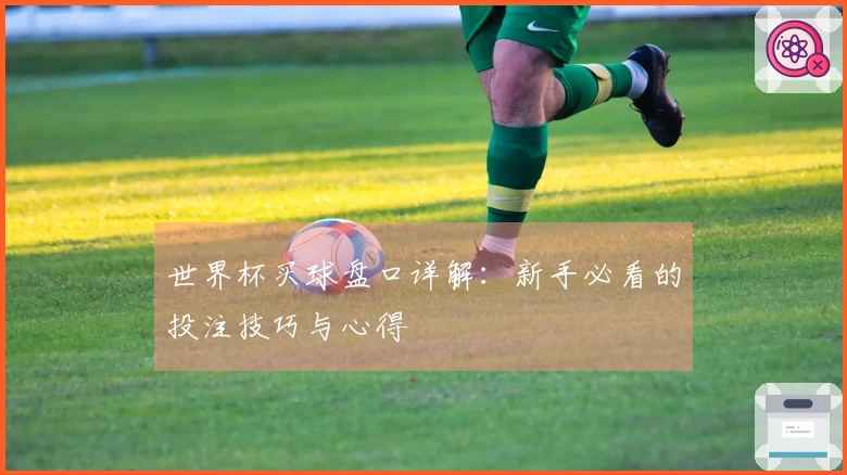 世界杯买球盘口详解：新手必看的投注技巧与心得