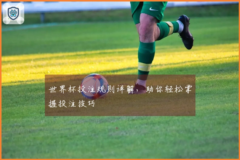 世界杯投注规则详解，助你轻松掌握投注技巧