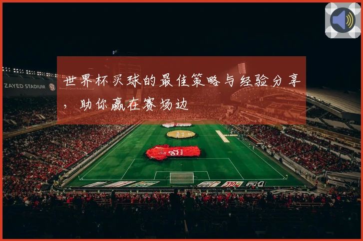 世界杯买球的最佳策略与经验分享，助你赢在赛场边