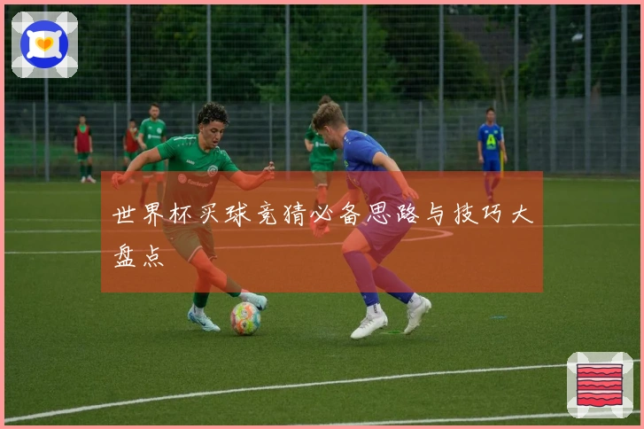 世界杯买球竞猜必备思路与技巧大盘点