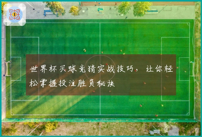 世界杯买球竞猜实战技巧，让你轻松掌握投注胜负秘诀