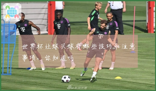 世界杯让球买球有哪些技巧和注意事项，你知道吗