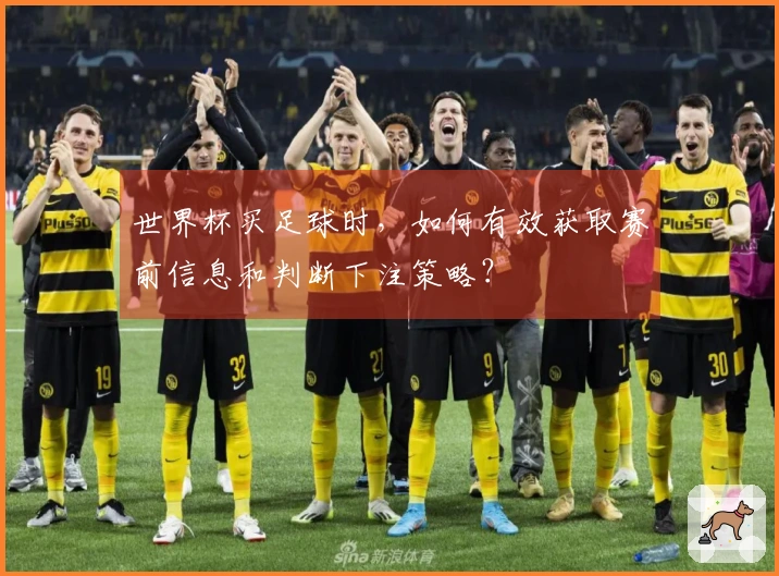 世界杯买足球时，如何有效获取赛前信息和判断下注策略？