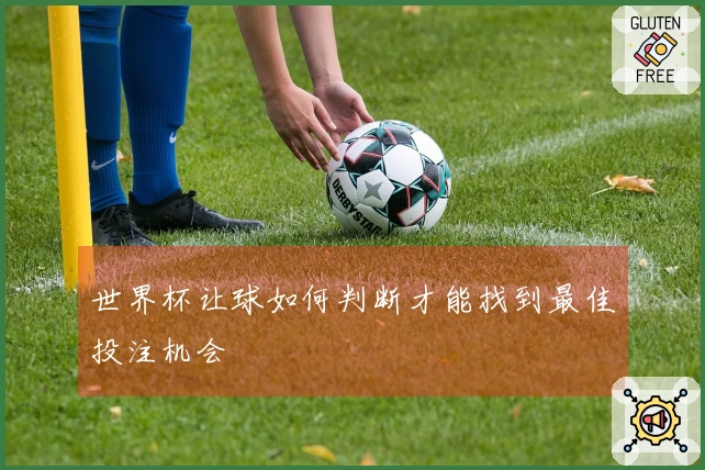 世界杯让球如何判断才能找到最佳投注机会