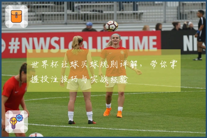 世界杯让球买球规则详解，带你掌握投注技巧与实战经验