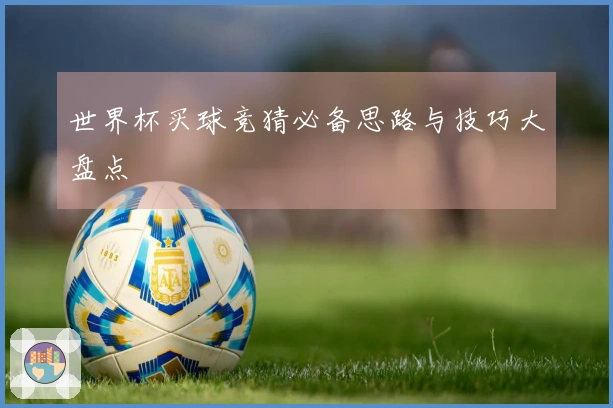 世界杯买球竞猜必备思路与技巧大盘点