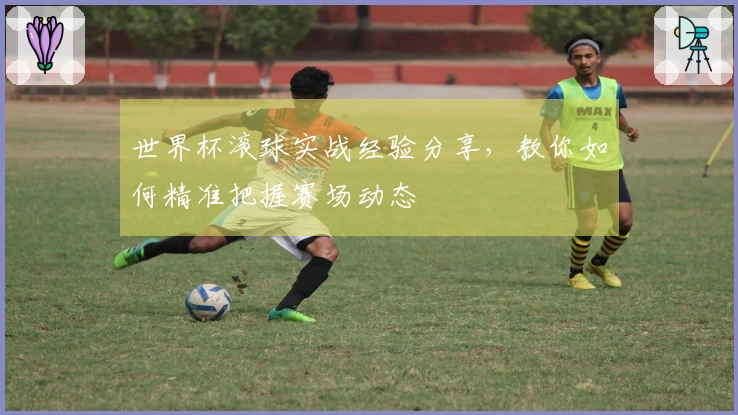 世界杯滚球实战经验分享，教你如何精准把握赛场动态