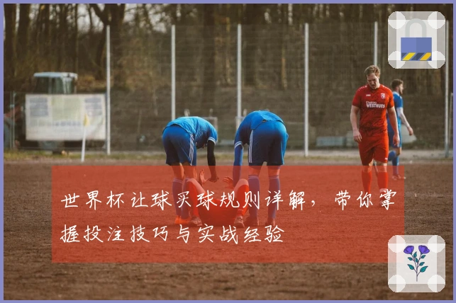 世界杯让球买球规则详解，带你掌握投注技巧与实战经验