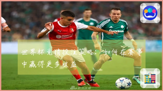 世界杯竞猜投注策略：如何在赛事中赢得更多收益