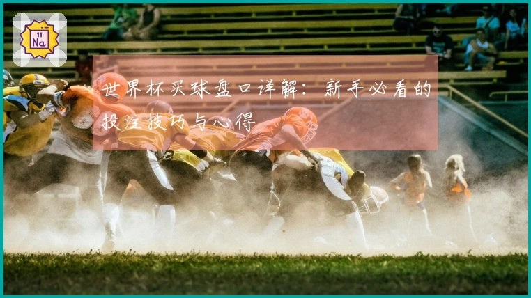 世界杯买球盘口详解：新手必看的投注技巧与心得