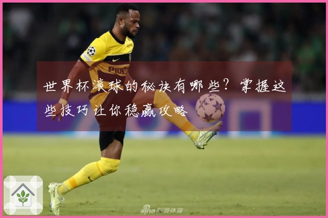 世界杯滚球的秘诀有哪些？掌握这些技巧让你稳赢攻略