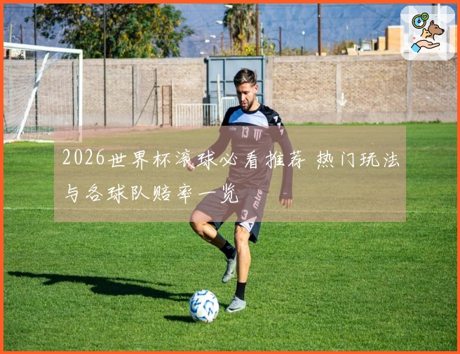 2026世界杯滚球必看推荐 热门玩法与各球队赔率一览
