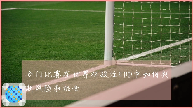 冷门比赛在世界杯投注app中如何判断风险和机会