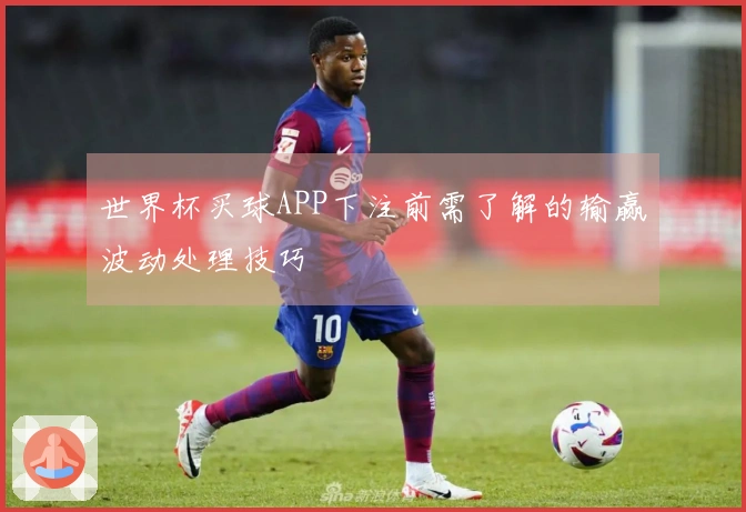 世界杯买球APP下注前需了解的输赢波动处理技巧